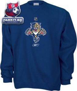 Толстовка Флорида Пантерз / hooded Florida Panthers