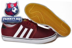 Adidas Skate Seeley