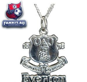Серебряная цепочка и серебряный кулон Эвертон / Everton Small Cutout Pendant and Chain