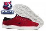 Nike SB Team Edition