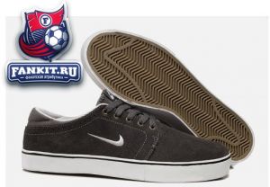 Nike SB Team Edition