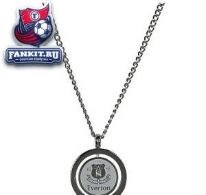 Цепочка и кулон из нерж. стали Эвертон / Everton Stainless Steel Spinner Pendant