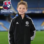 Куртка Челси Адидас / Chelsea Training All Weather Jacket