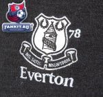 Кофта Эвертон / Everton Essential Druid Jumper