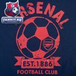 Детская футболка Арсенал / Football Graphic Tee Navy